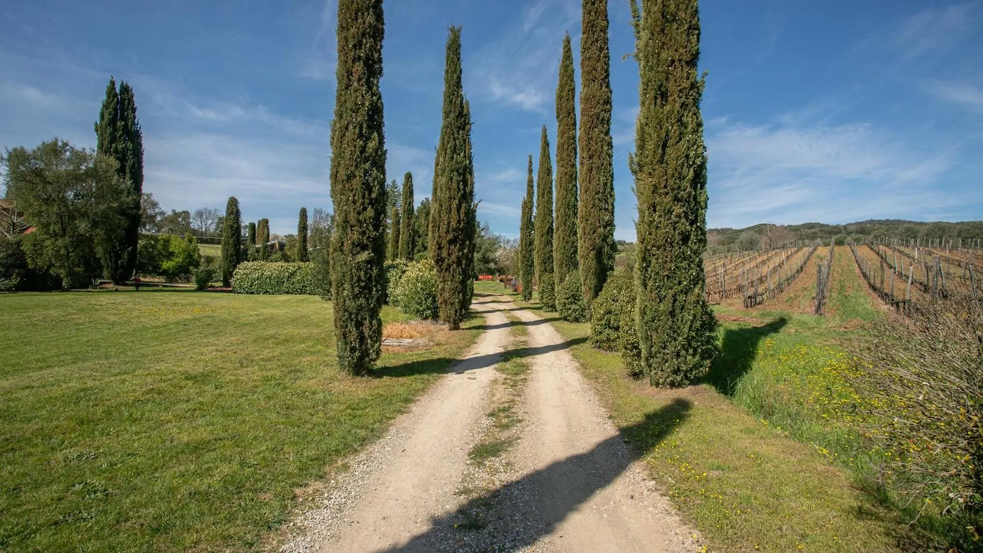 Farm stay Casa Girasole Villa Roccastrada